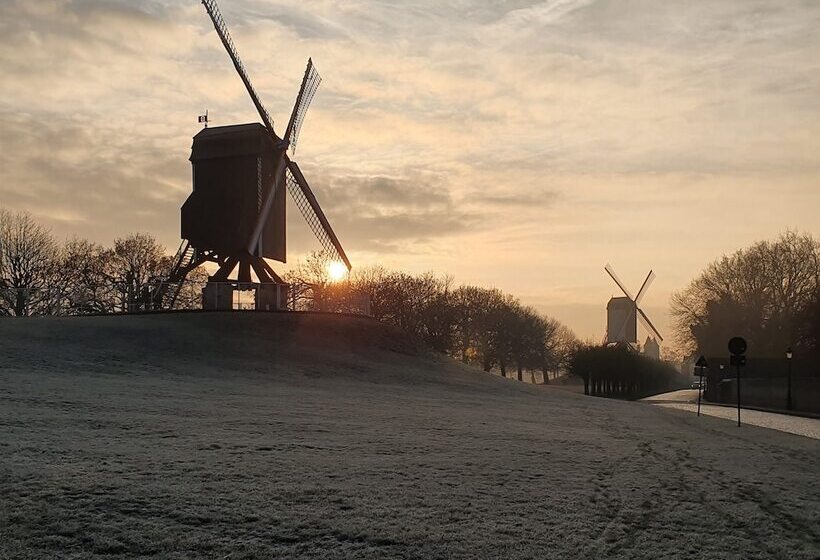 مبيت وإفطار T Walleke