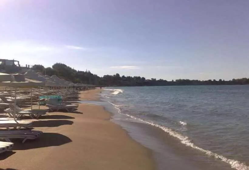 George Beach Studios