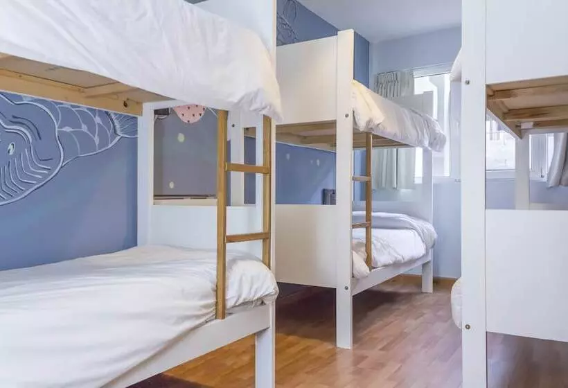 هتل Circus Hostel