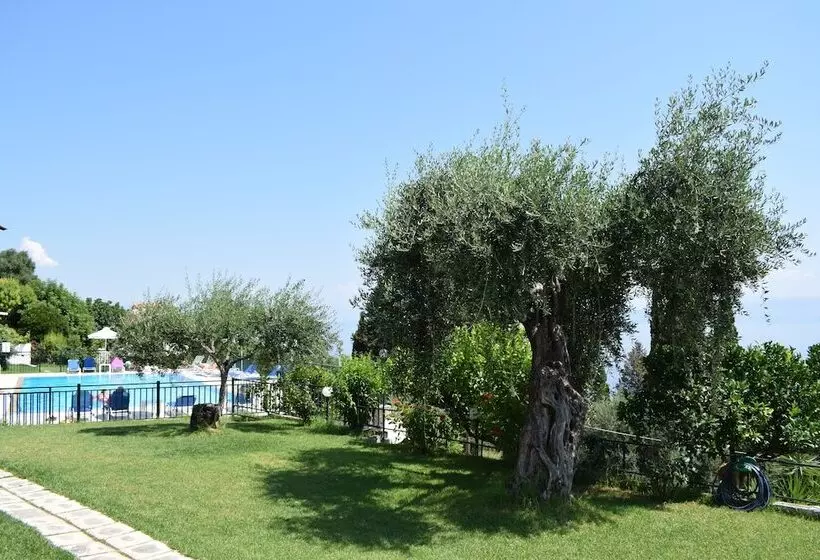 Rising Sun Apartments And Studios