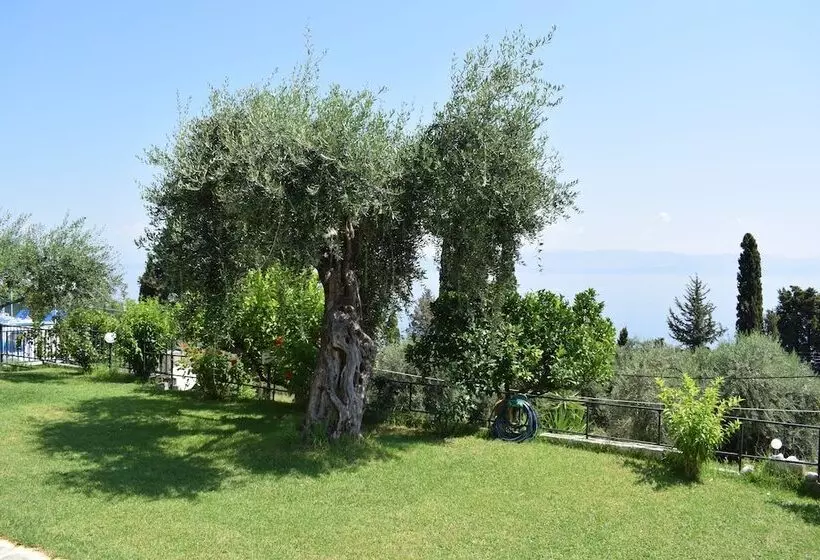 Rising Sun Apartments And Studios