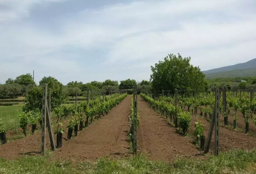 Aamiaismajoitus (B&B) Villa Veda