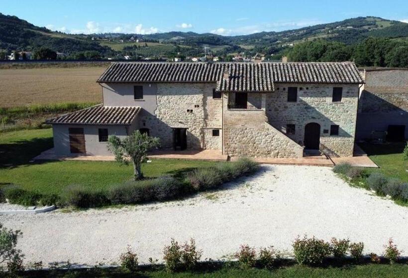 Bed and Breakfast Opera Domini Asisium