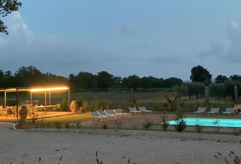 Bed and Breakfast Opera Domini Asisium