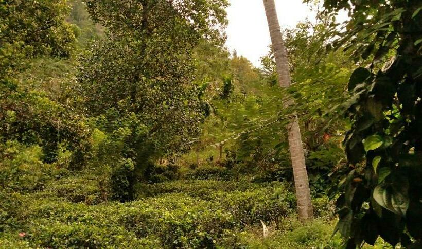 펜션 Namastay Cottage Hunnas Falls