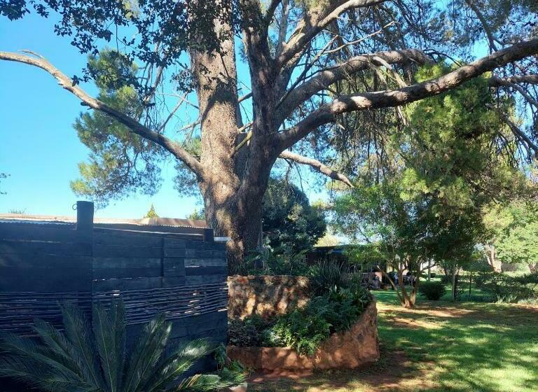 مبيت وإفطار God S Grace Farm Accommodation