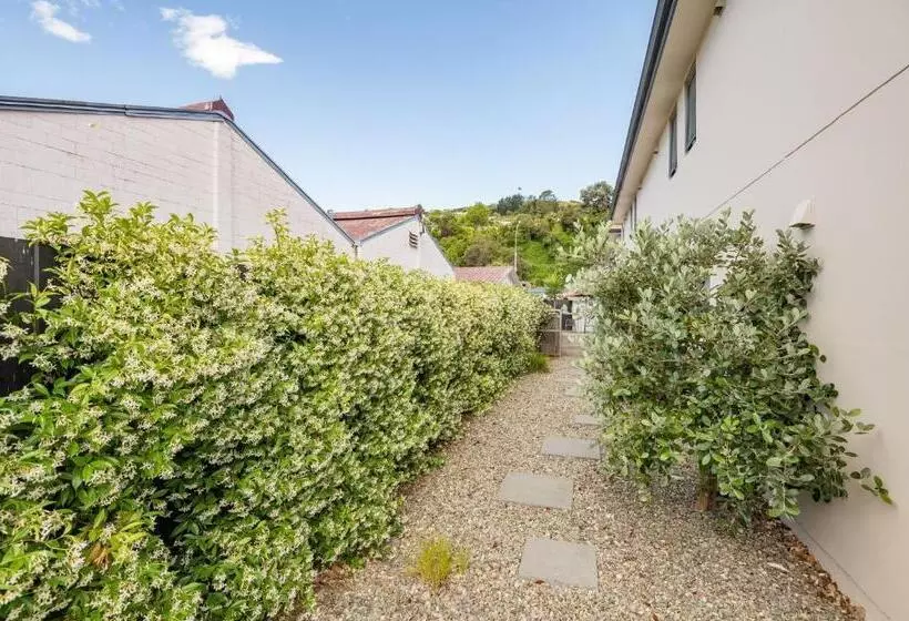 汽车旅馆 Bella Vista Nelson