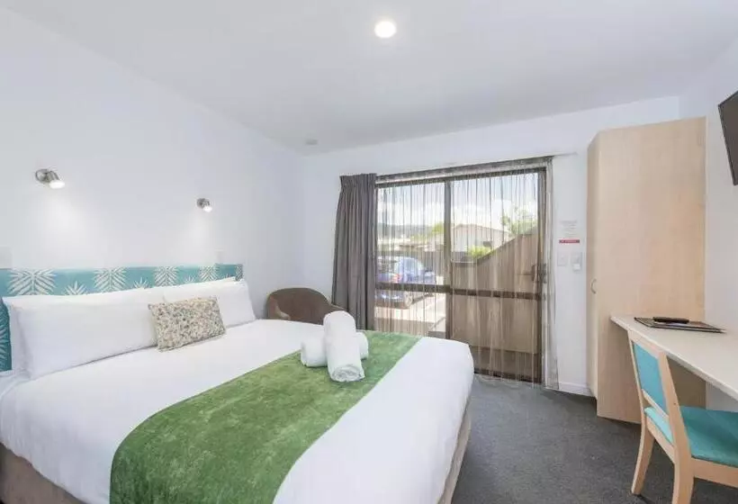 汽车旅馆 Bella Vista Nelson