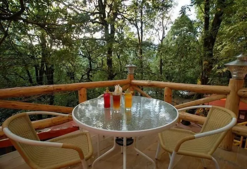 בית מלון כפרי Alpine Club