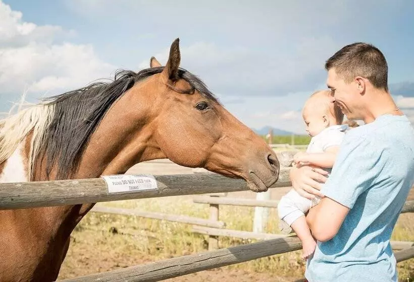 ホテル Under Canvas West Yellowstone