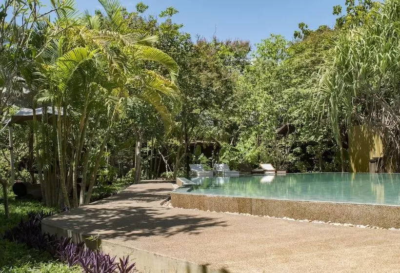 Palm Village Resort & Spa