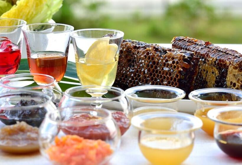 The Terrace Club Wellness Resort At Busena