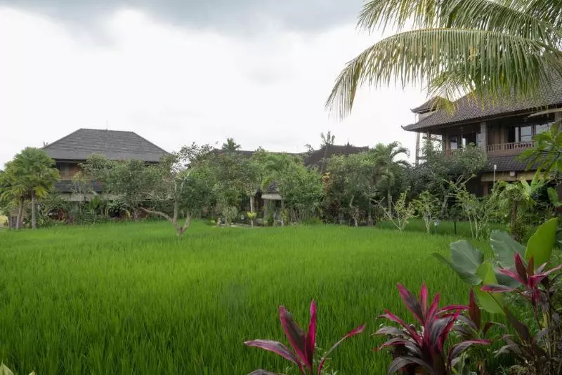 Bliss Ubud Spa Resort