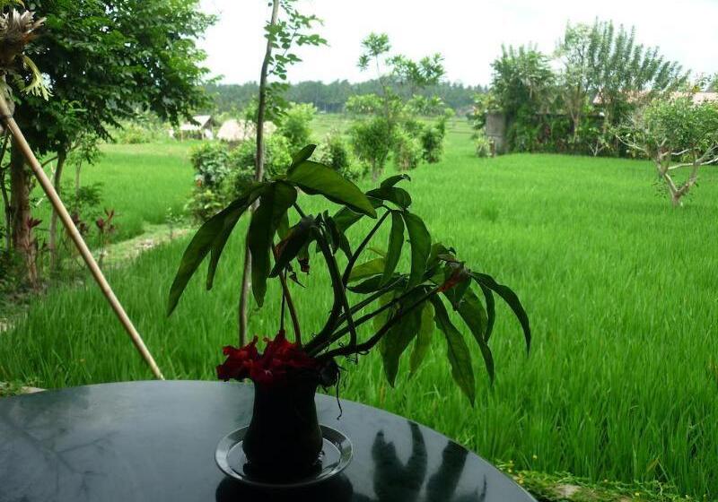 Bliss Ubud Spa Resort