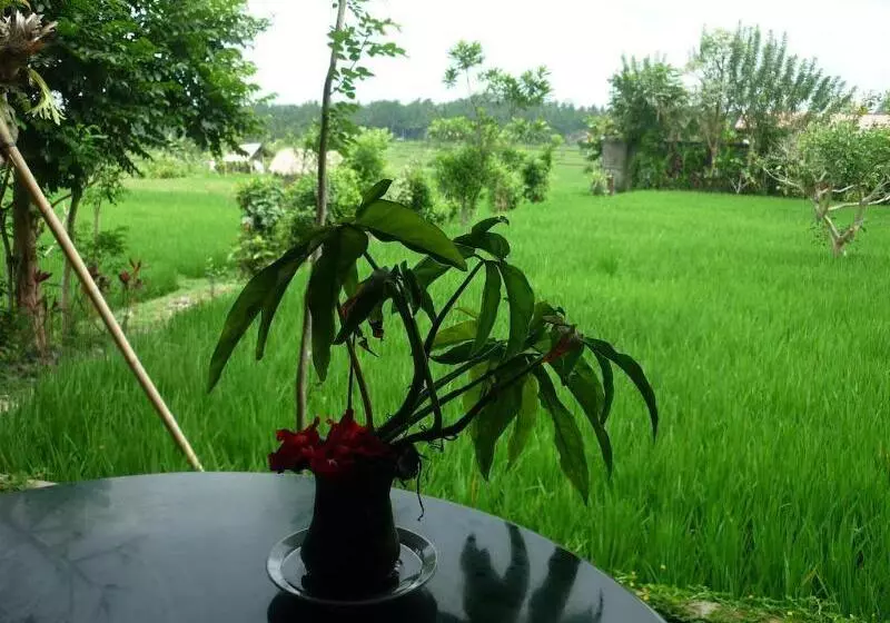 Bliss Ubud Spa Resort