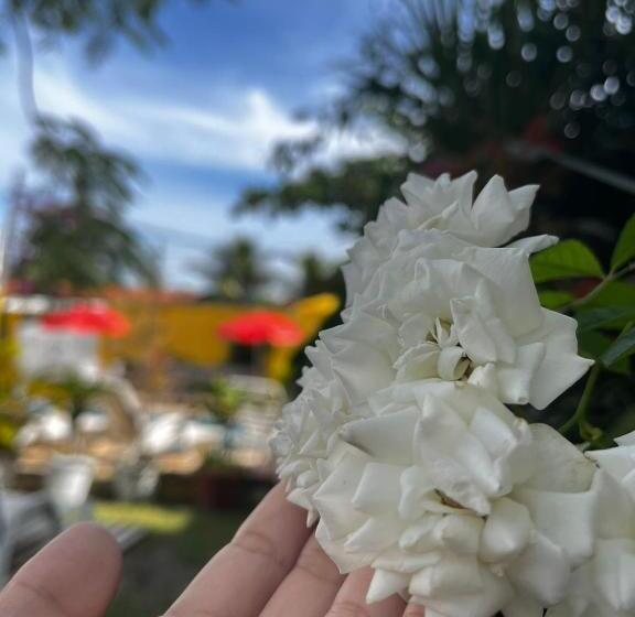 住宿加早餐  Suites Sol De Inverno Itaipuaçu