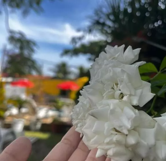 Aamiaismajoitus (B&B) Suites Sol De Inverno Itaipuaçu