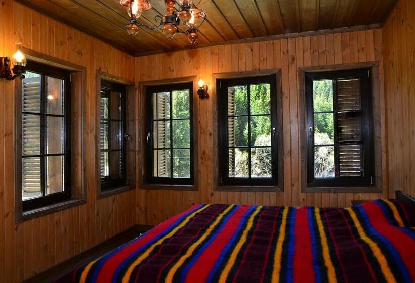 ペンション сюлевска къща   къща за гости