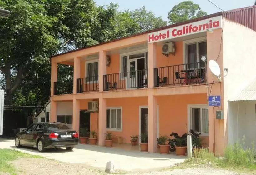 پانسیون California гонио