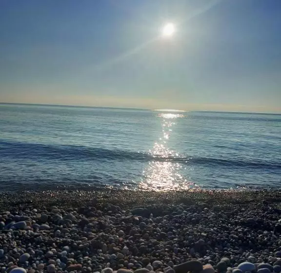پانسیون California гонио