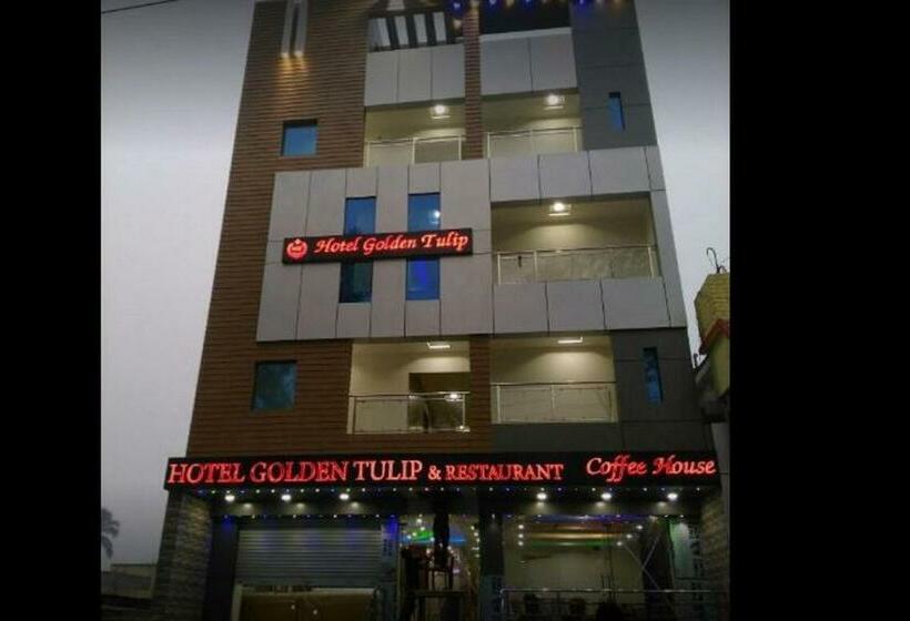 酒店 Golden Tulip