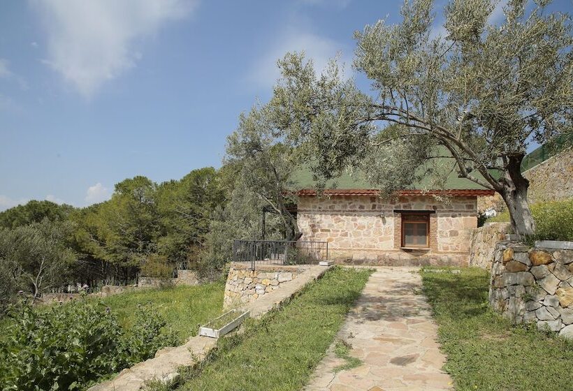 هتل The Mira House