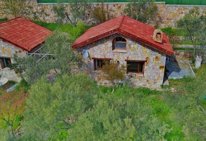 هتل The Mira House