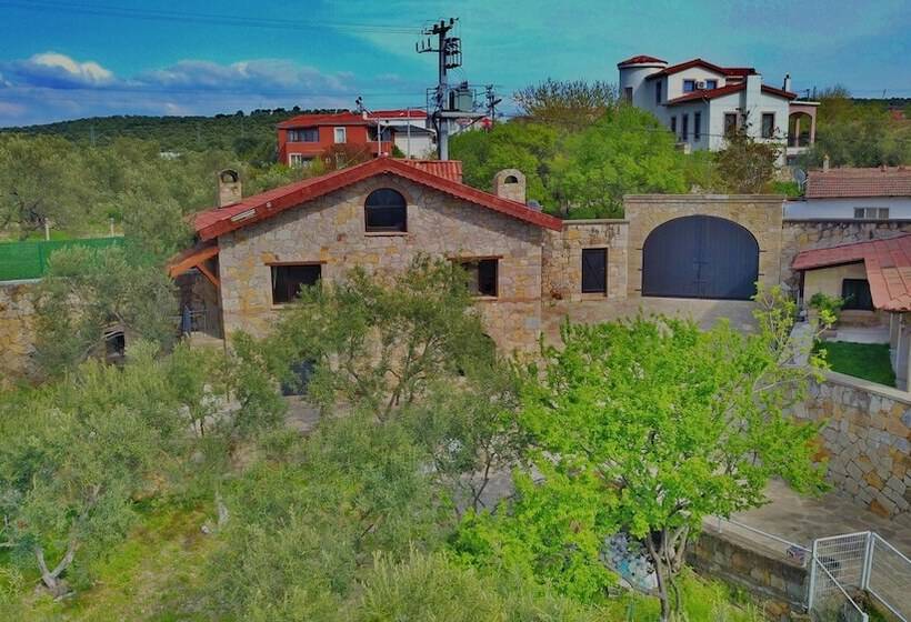 هتل The Mira House