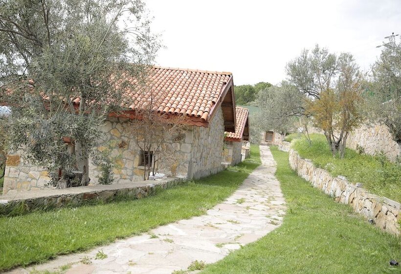 هتل The Mira House