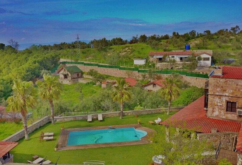 هتل The Mira House