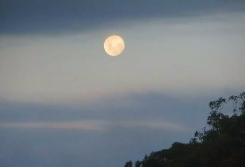 Motelli Eildon Parkview Motor Inn Room 9