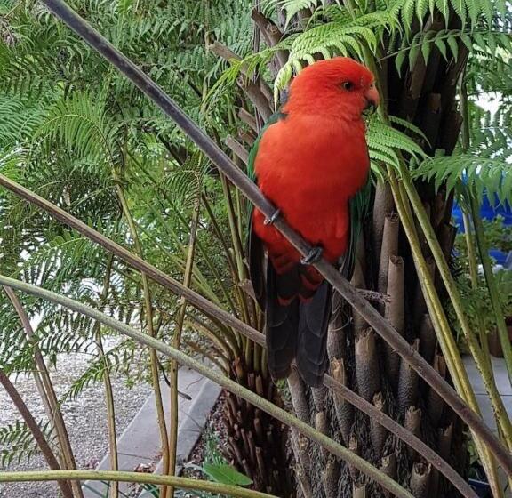 מוטל Eildon Parkview Motor Inn Room 9