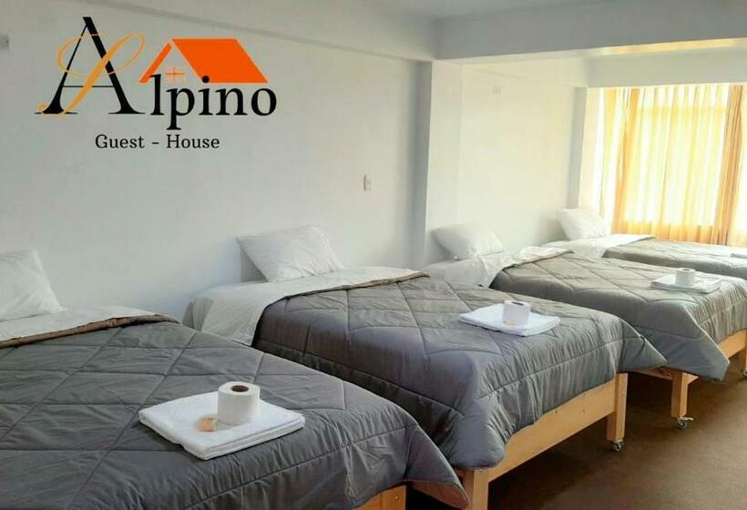 פנסיון Alpino Guest House