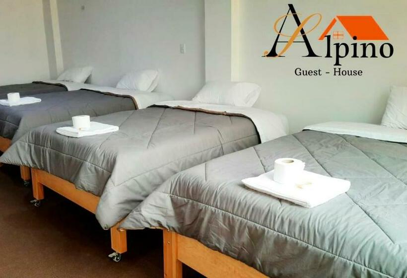 פנסיון Alpino Guest House