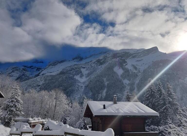 Pension Chambre D Hôtes L Ours Bleu