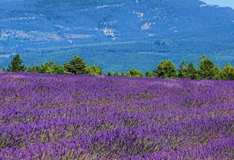 بنسيون Domaine Du Moulin De Villefranche