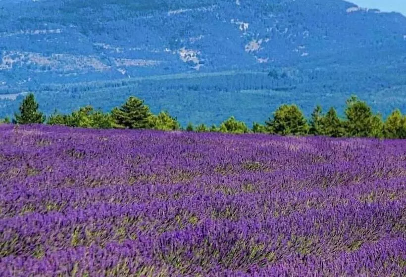 ペンション Domaine Du Moulin De Villefranche