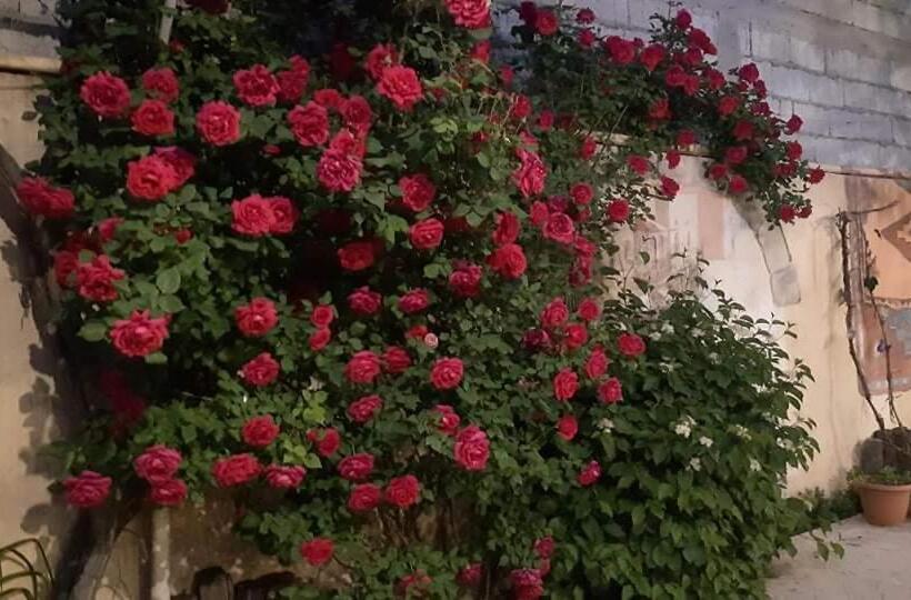 پانسیون Monument Guesthouse