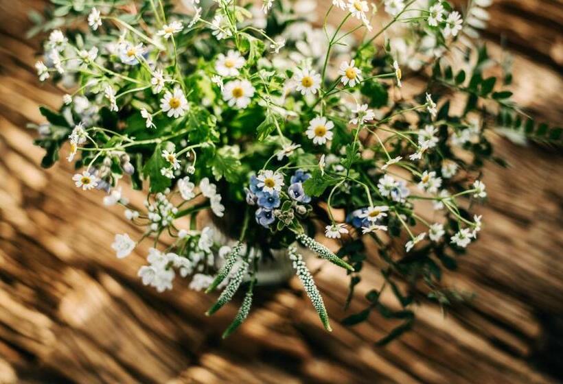 پانسیون Seaside 43