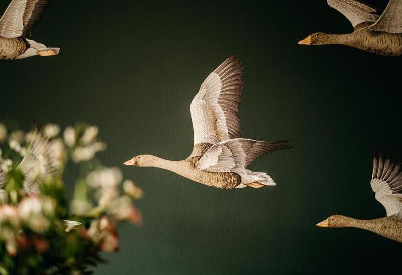 پانسیون Seaside 43