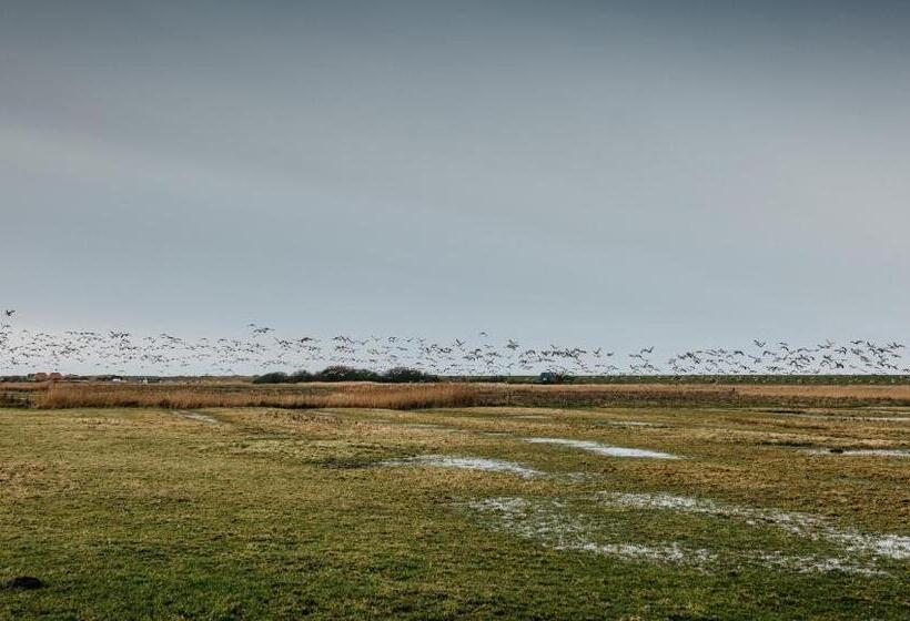 پانسیون Seaside 43