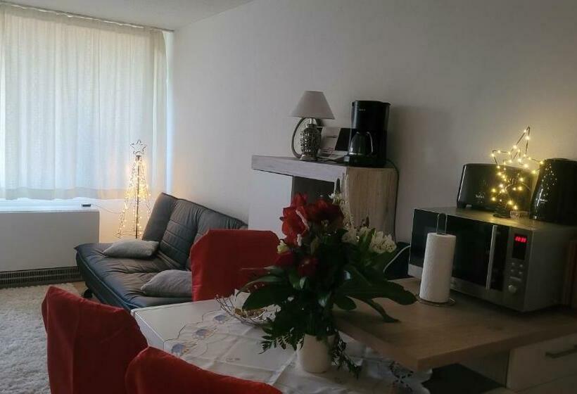 호텔 Ryan Apartament