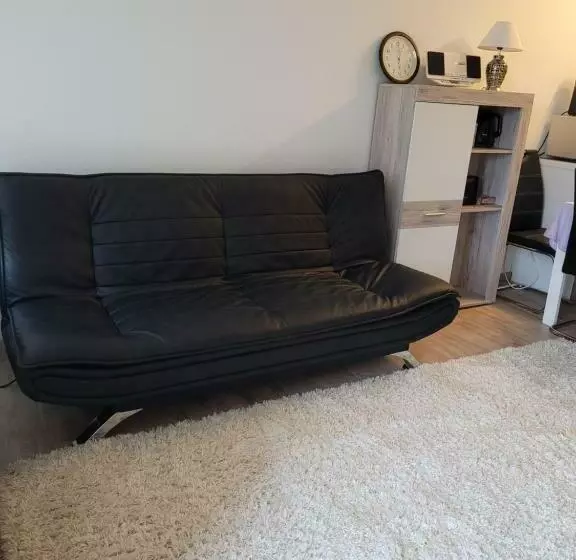 ホテル Ryan Apartament