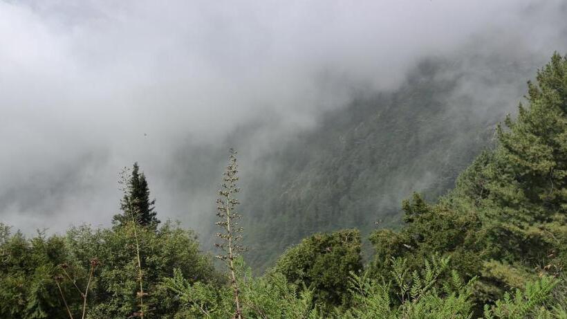 پانسیون Sunrise Rest House