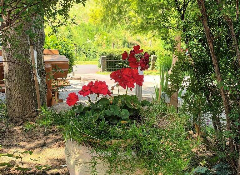 펜션 Hanna Bella Apartman Zalakaros