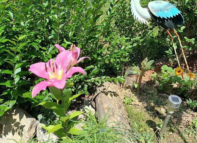 펜션 Hanna Bella Apartman Zalakaros