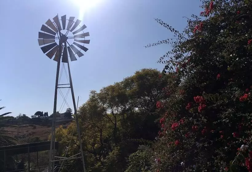 Bed and Breakfast Agterplaas Guesthouse Pty Ltd