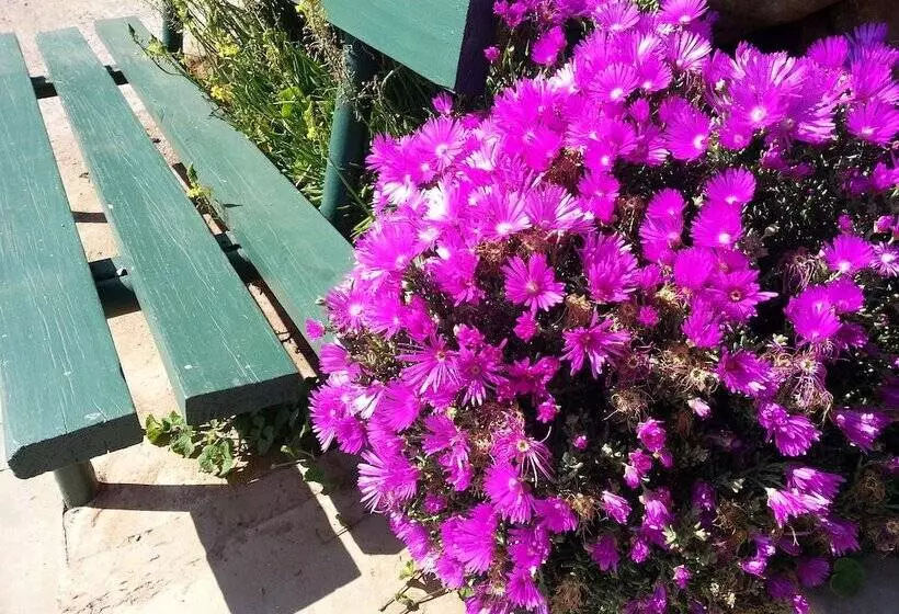 Bed and Breakfast Agterplaas Guesthouse Pty Ltd