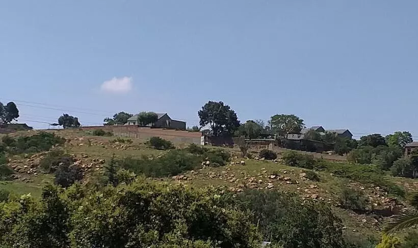 Bed and Breakfast Agterplaas Guesthouse Pty Ltd