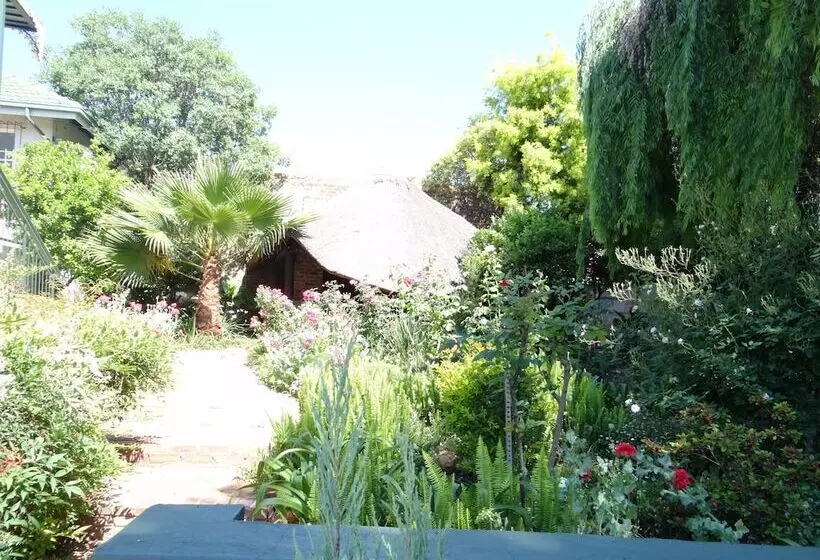 Bed and Breakfast Agterplaas Guesthouse Pty Ltd